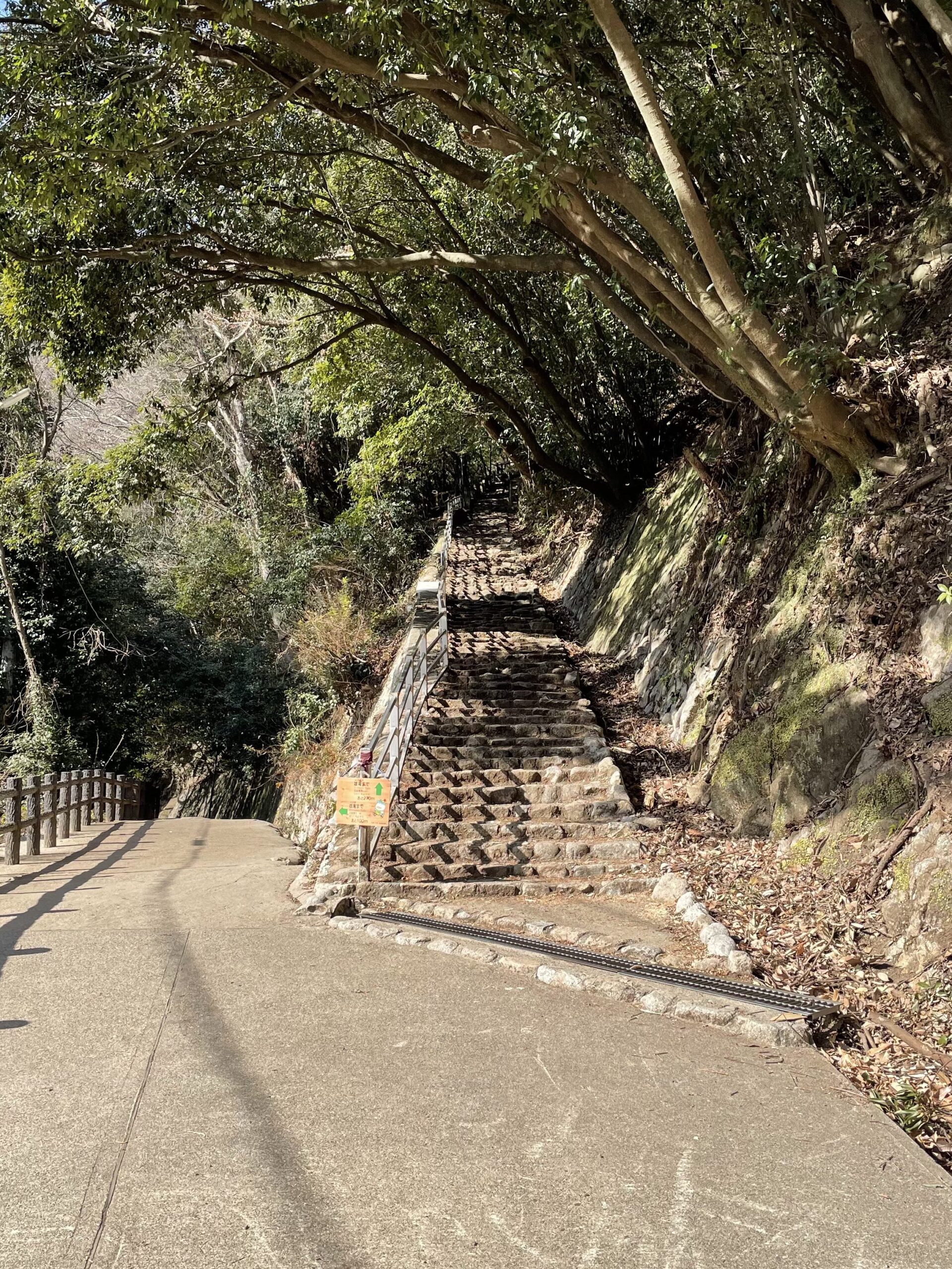 登山口長長的階梯